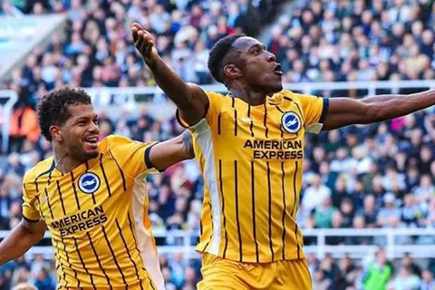 تقارير: ويلبيك يمدد إقامته مع برايتون